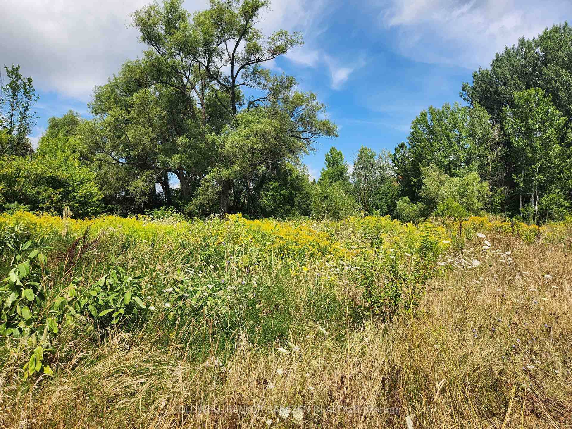 ENJOY THE PRIVACY YOU WILL HAVE ON THIS RARE 2.