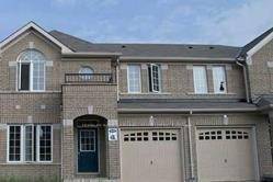 Legally Build 2 Year New 2 Bedrooms Basement Apartment Available in East Brampton Near Highways.