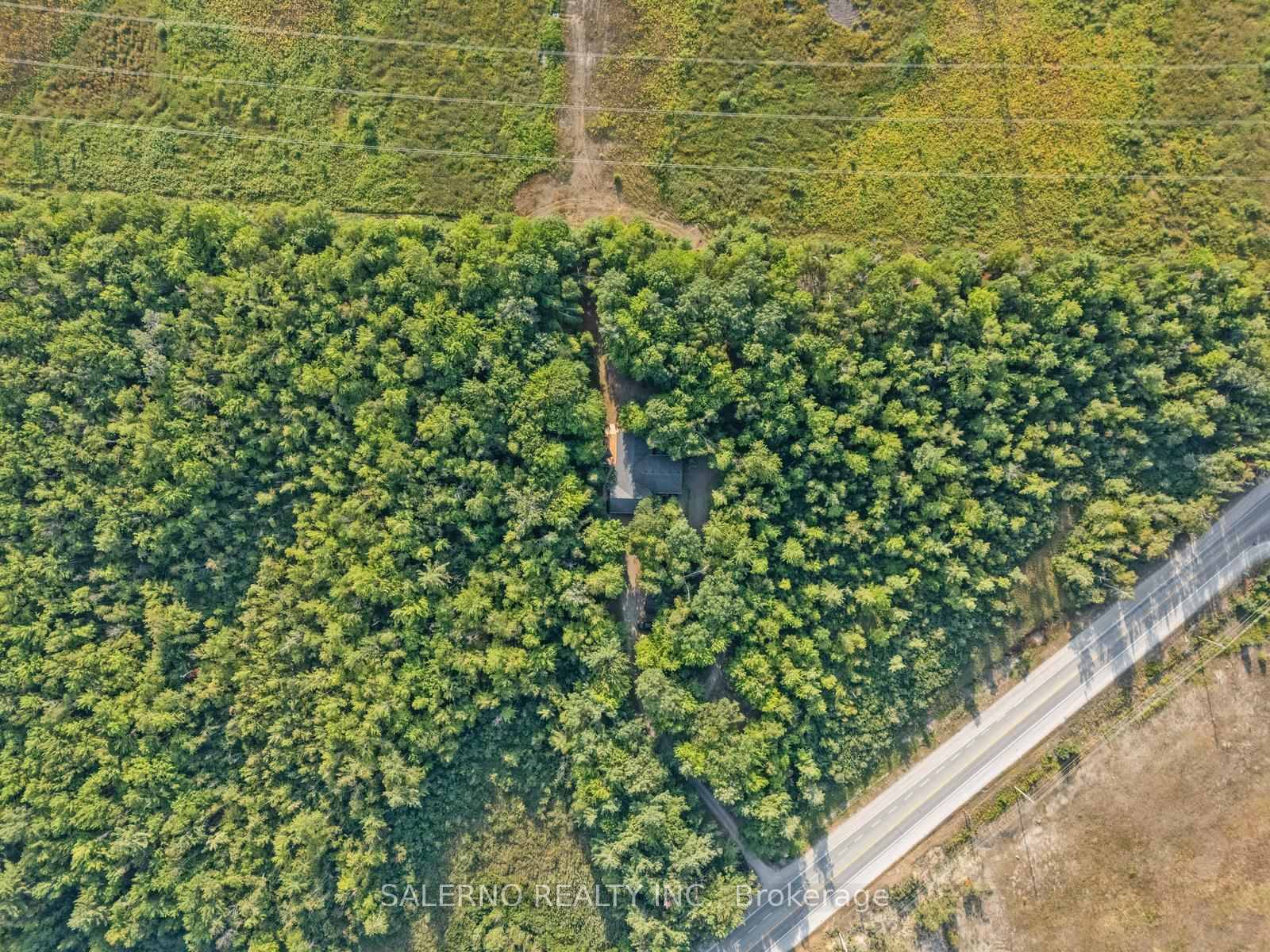 Welcome To Your Private Retreat In The Heart Of Nature.