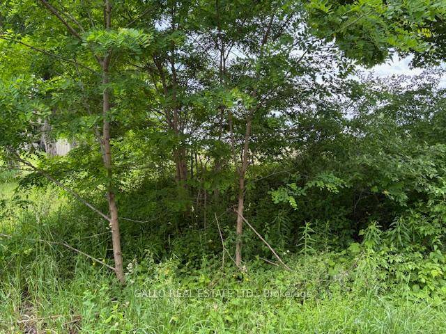 Here is your opportunity to build your dream home !