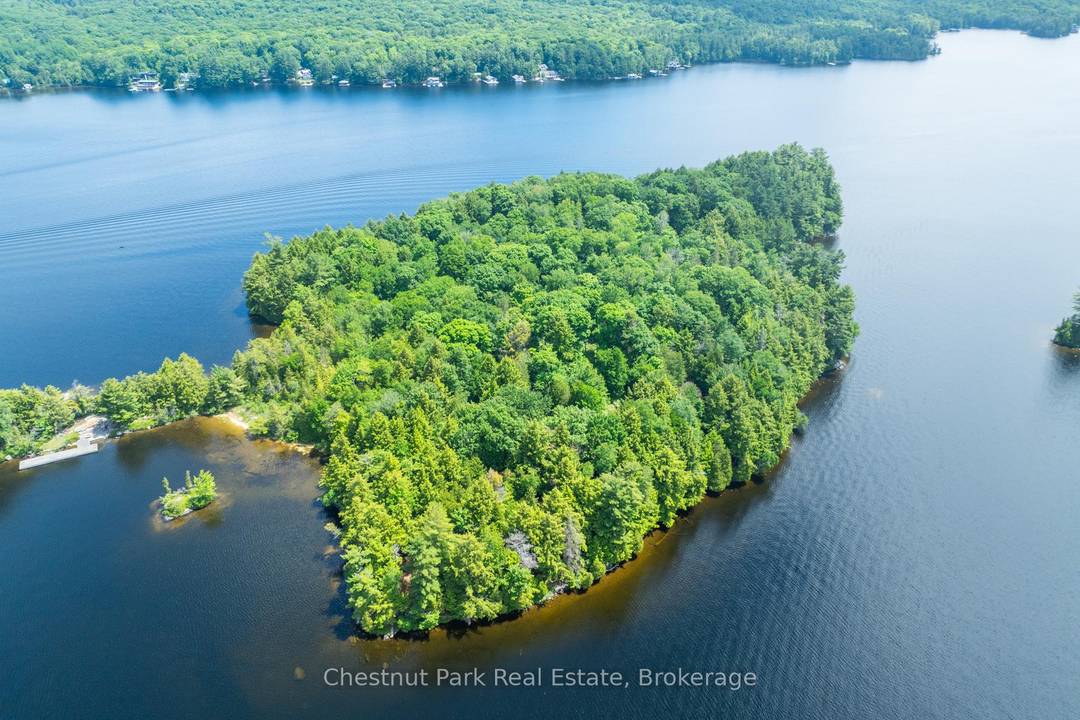 Nestled in the heart of Muskoka, a rare opportunity to acquire a fully developable island package.