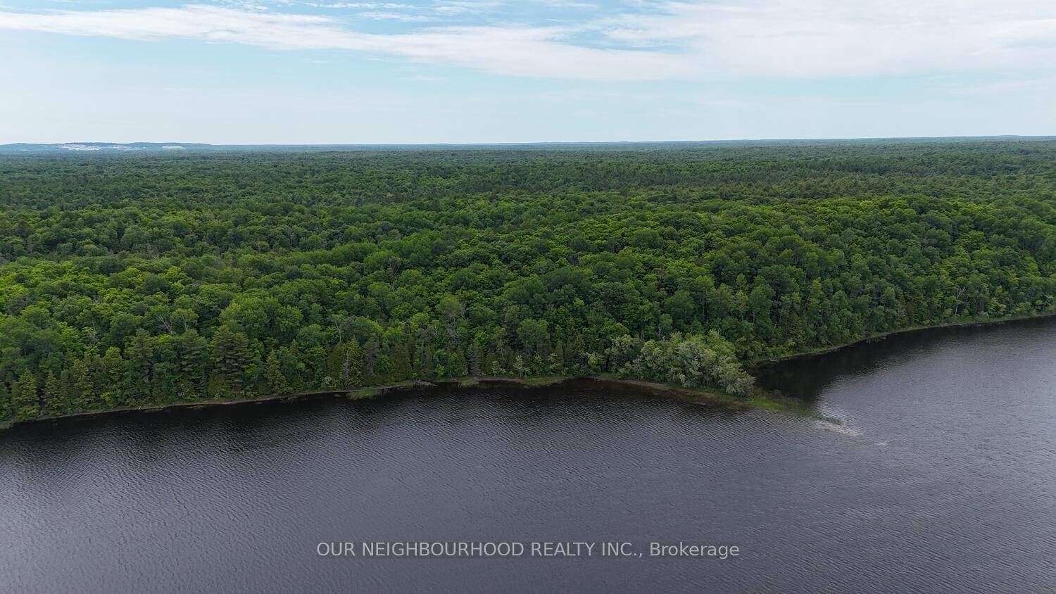Natural untouched forest habitat on Pristine Tangamong Lake !
