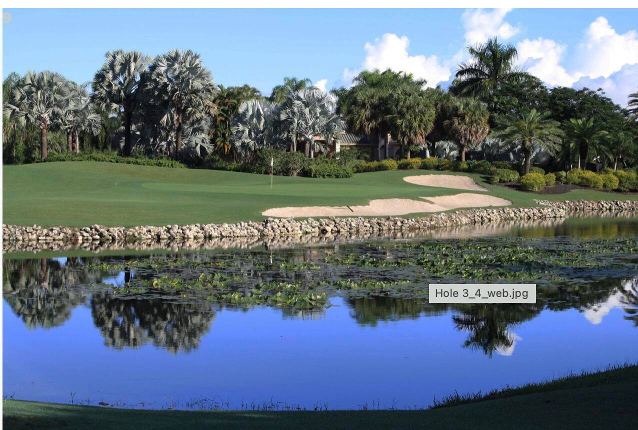 Magnificent 4BR Office One Story in Boca Grove !