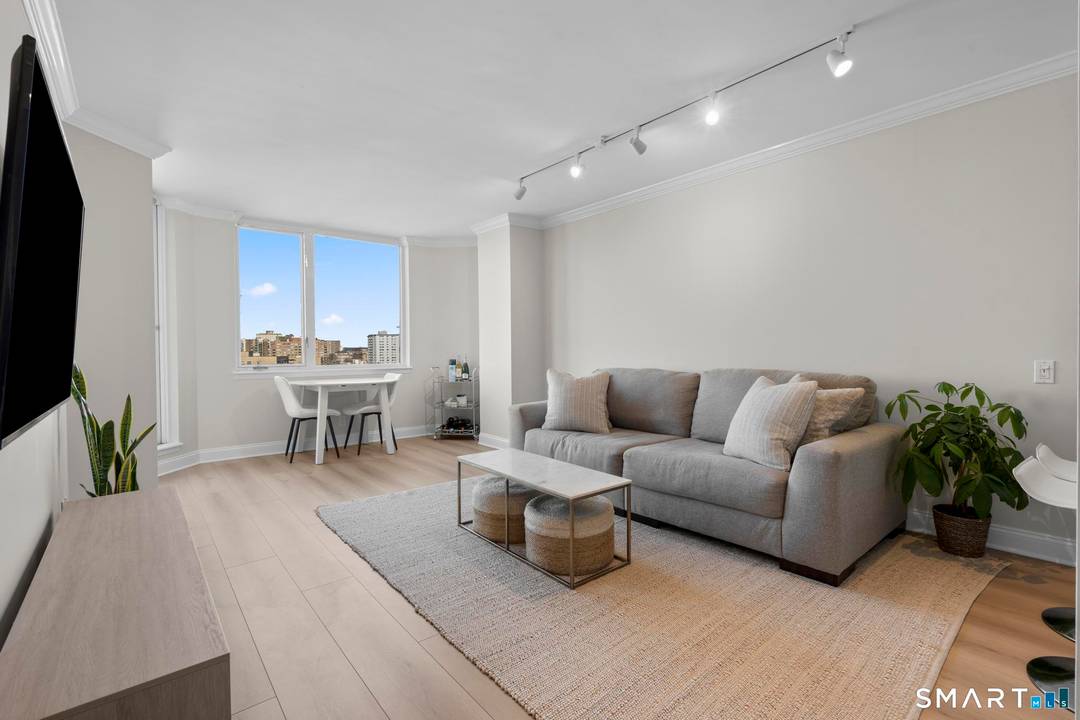 Experience elevated living in this rare one bedroom penthouse in the heart of downtown Stamford.