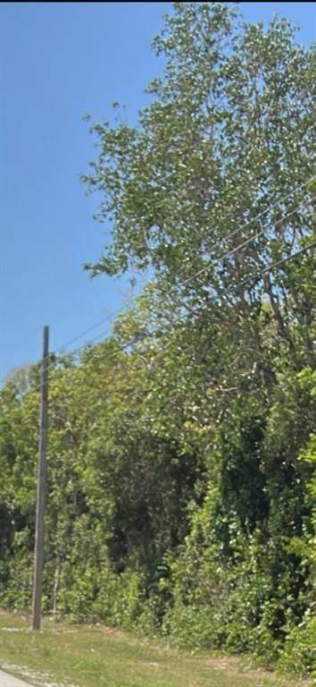 VACANT MITIGATION LAND