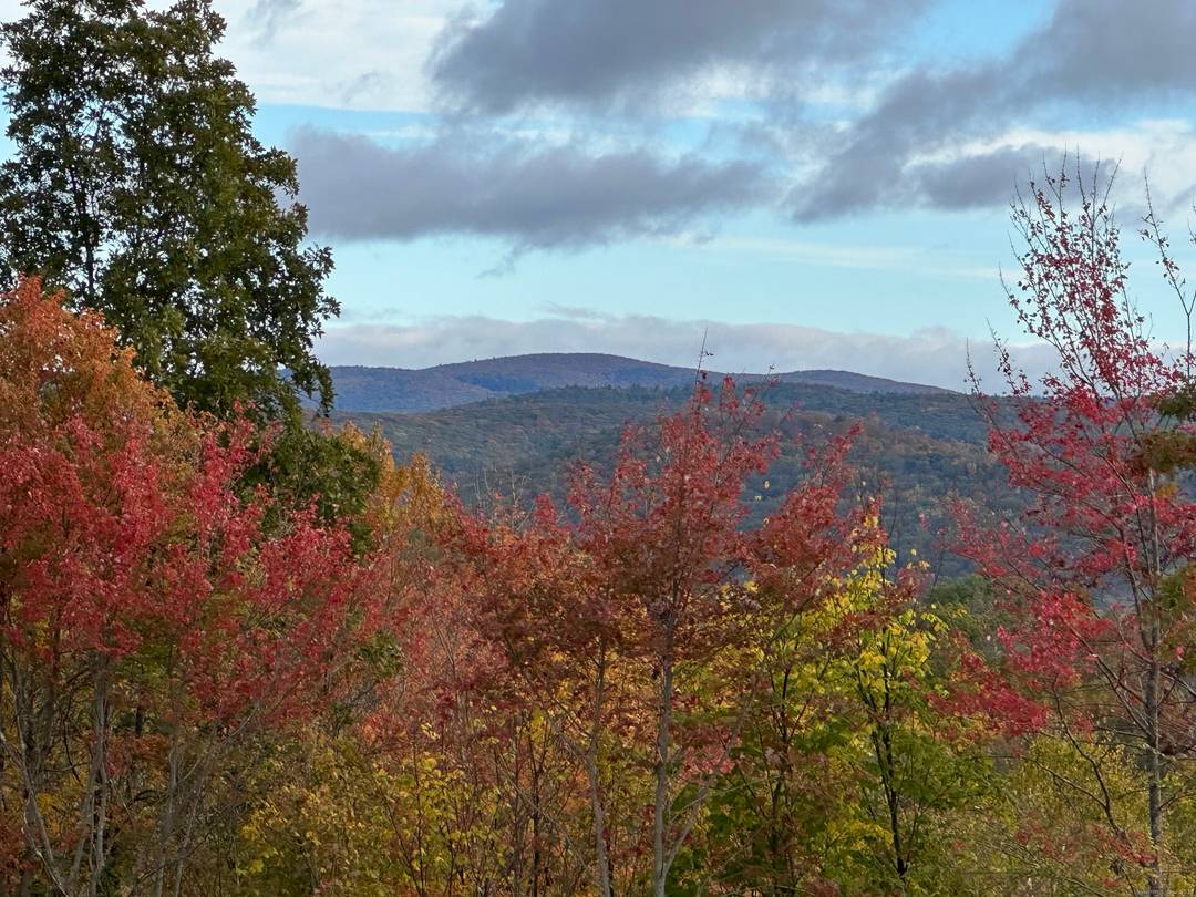 Rare opportunity ! Lot directly abuts 1000's of acres of state forest with some cleared pasture and remarkable views or the NW CT hills.