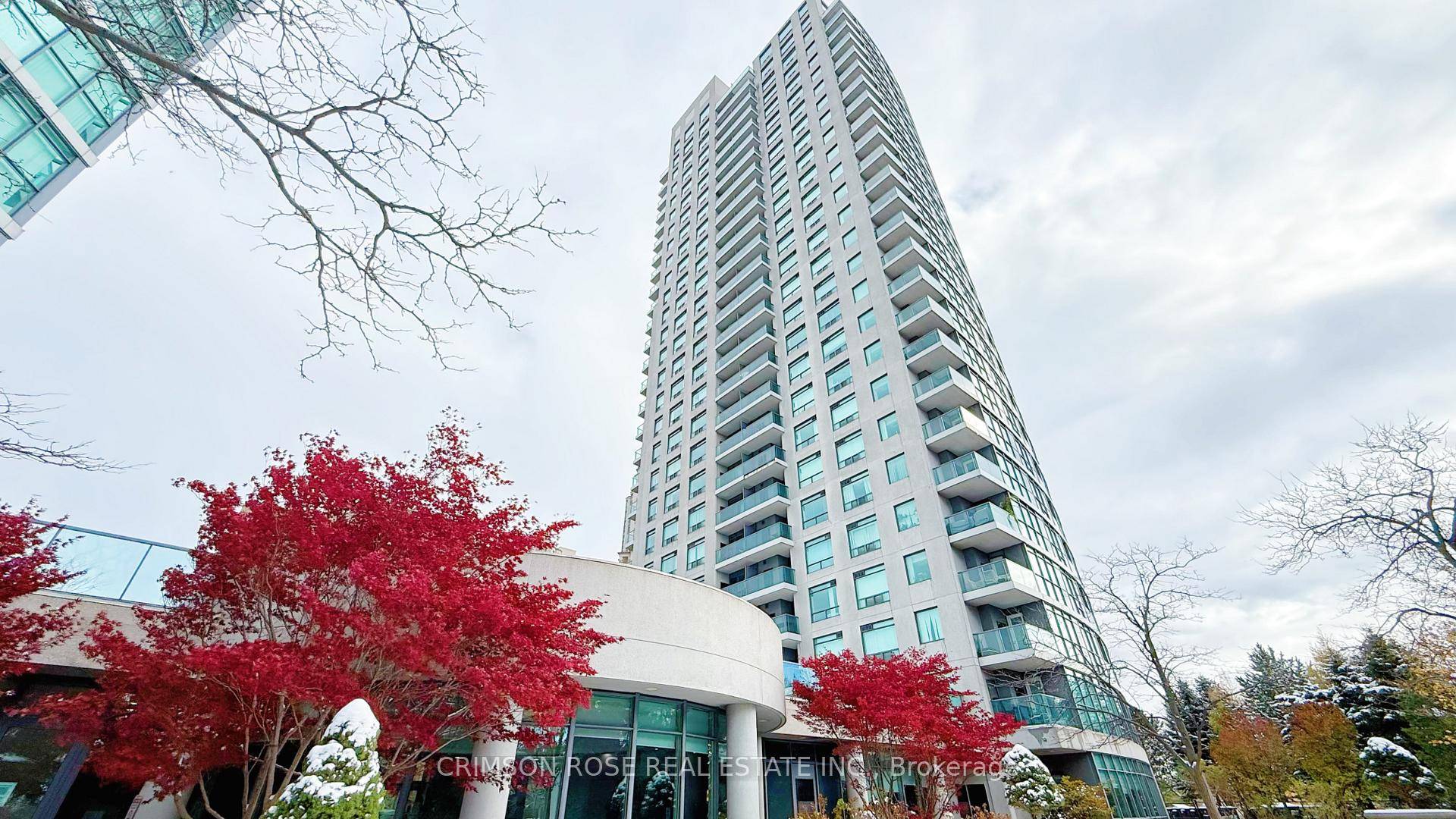 Professional Deep Clean !