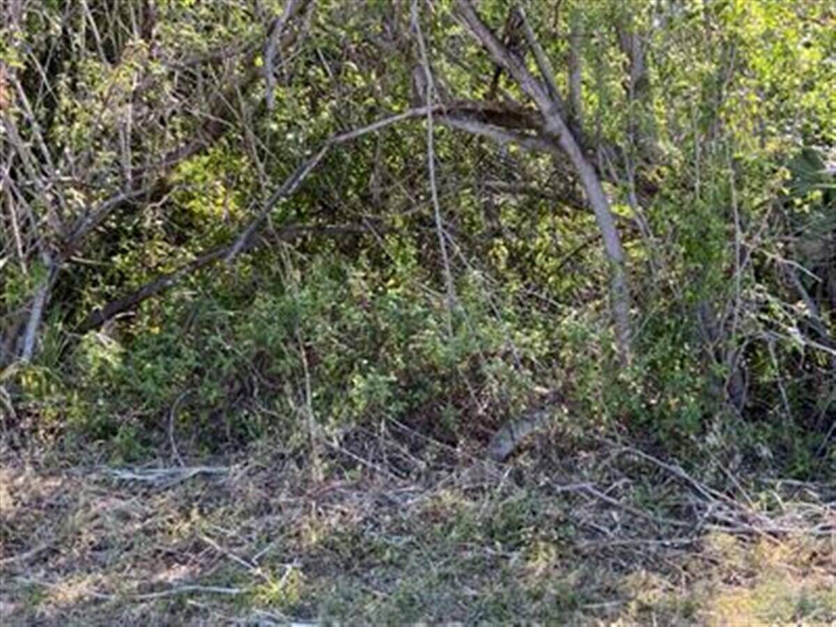 Great corner lot centrally located.