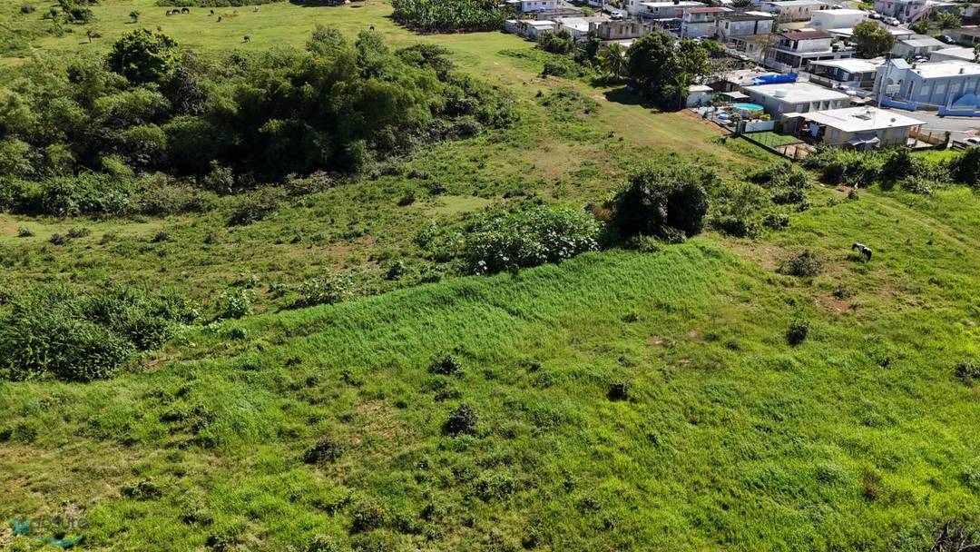 BO TERRANOVA QUEBRADILLAS Land Quebradillas