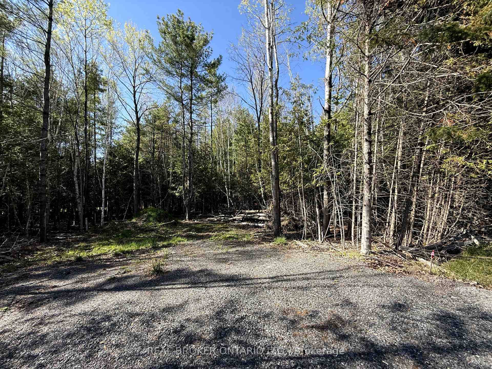 Tranquil 2 Acre Treed Lot in Watsons Corners Minutes from Dalhousie Lake.