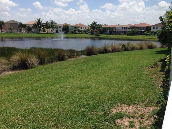 Spacious 5 bedroom 4 bath, 3 car garage, a rare find !