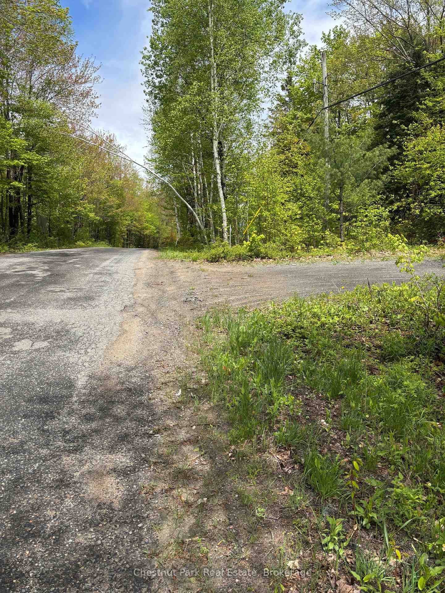 Beautiful 9. 7 Acre Muskoka Building Lot Ready for Your Dream Home !