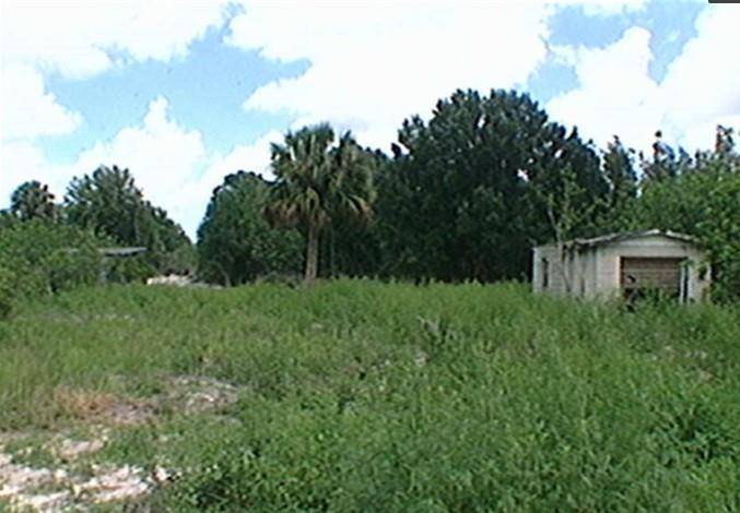 24. 6 Acres Looking for Room to Roam or Investment property, Look no more
