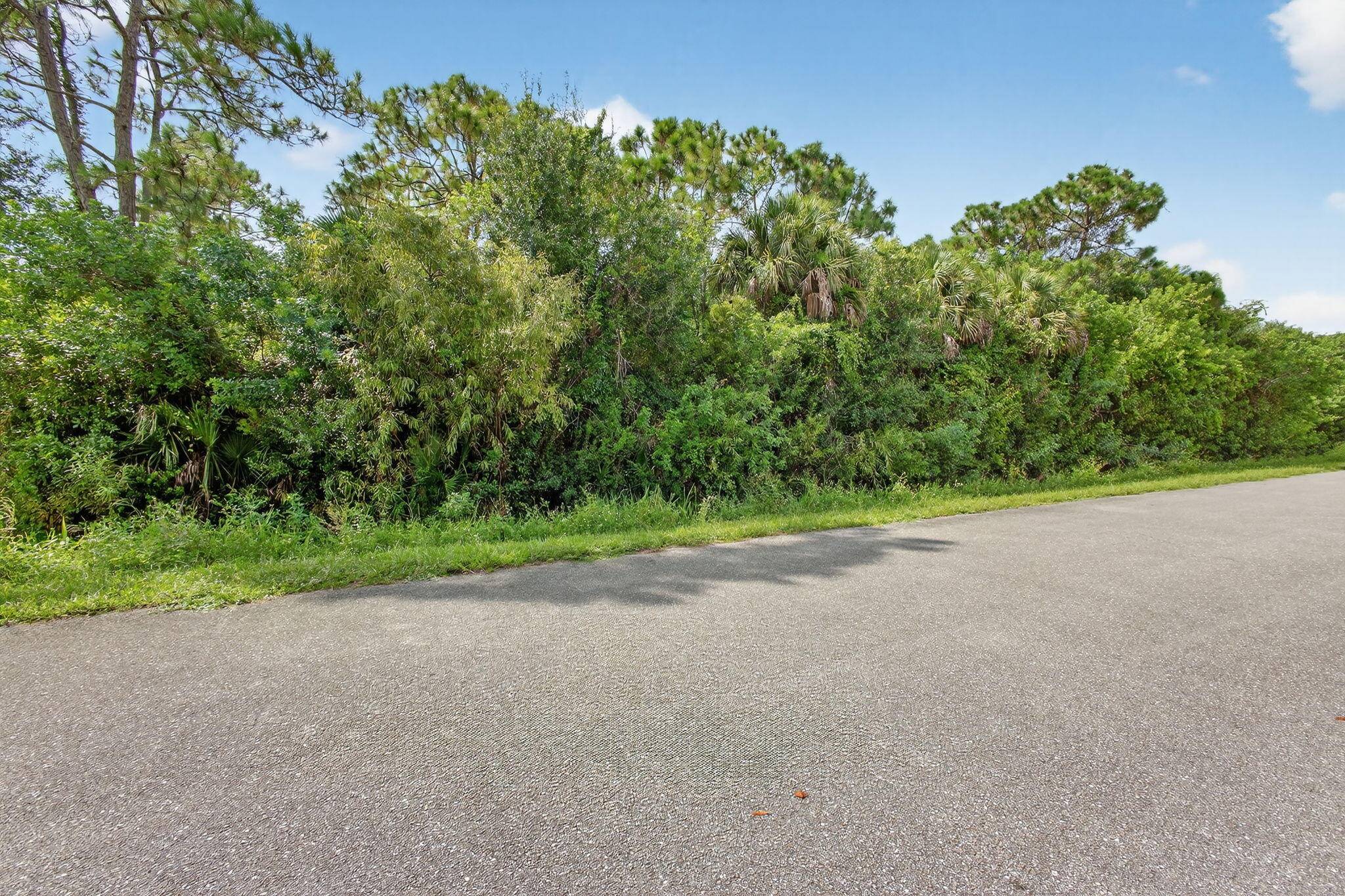 Nice Large 124 x 125ft Lot In Basswood.
