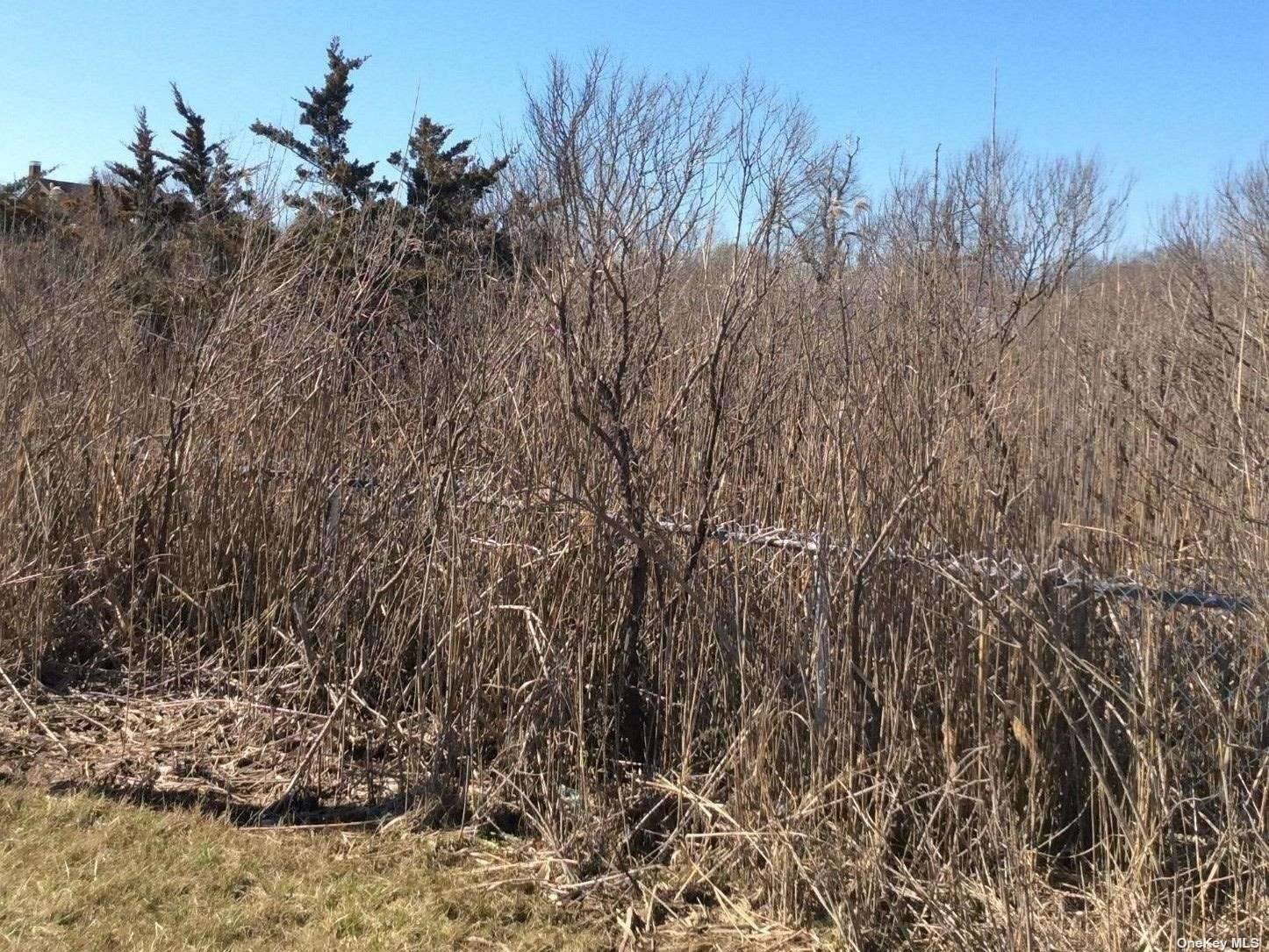 Property is Located in the Southern Section of Mastic Beach, 100X100 Residential Lot with Spectacular Water View.