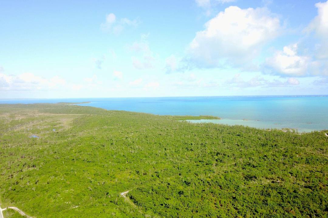353 ACRES NORTH MARSH HAR Land Abaco