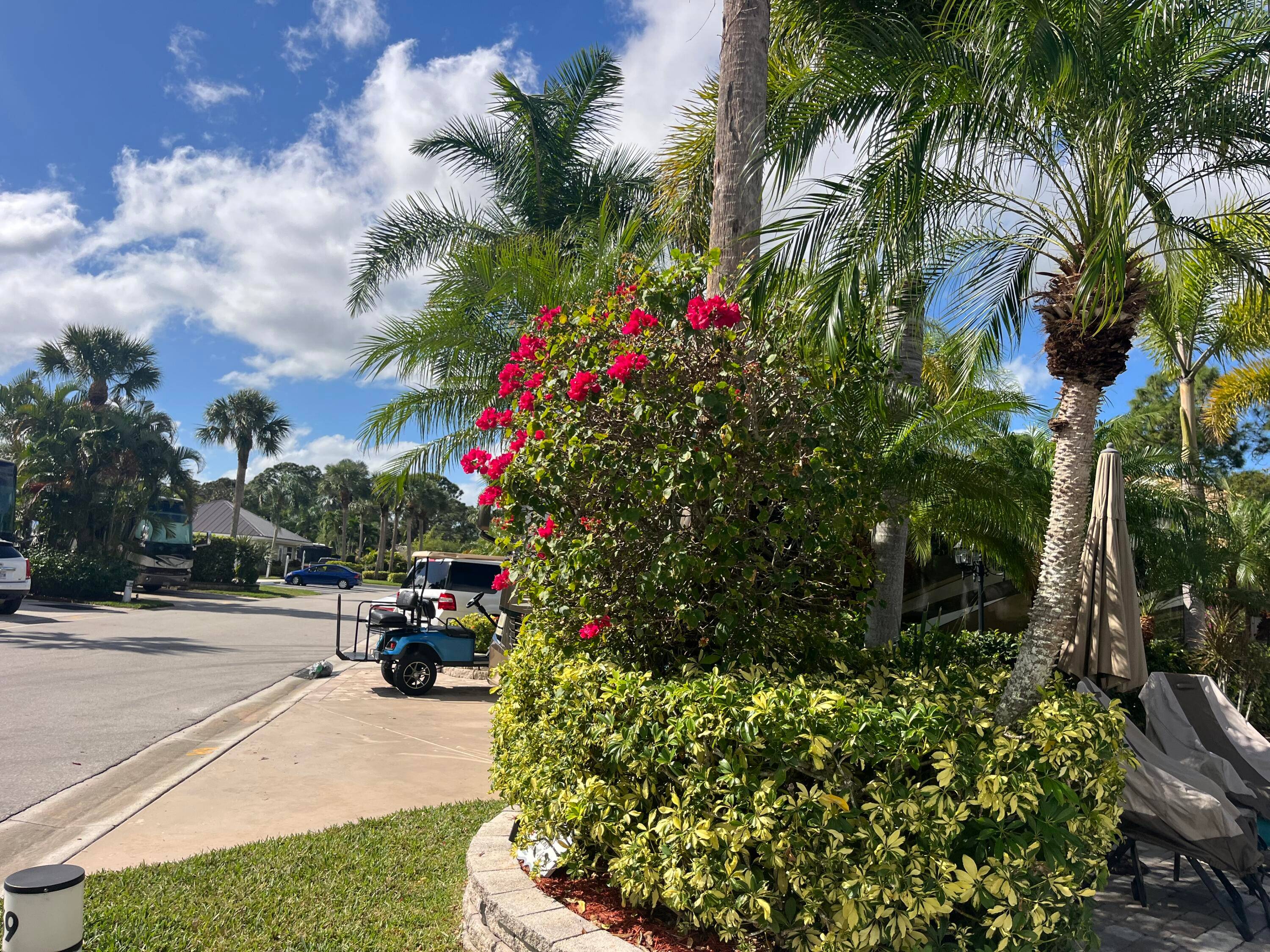 Beautiful landscaped lot with mature landscaping, ready to build your favorite tiki and kitchen, create it how you would love to entertain and enjoyUnbranded Virtual Tour https www.