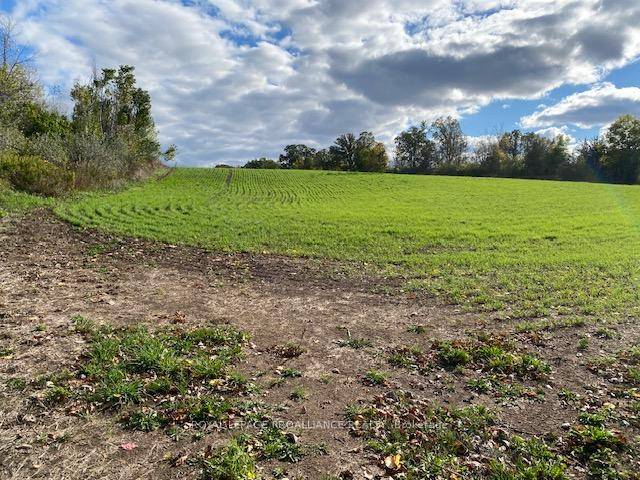 30 acres of workable land with 1.