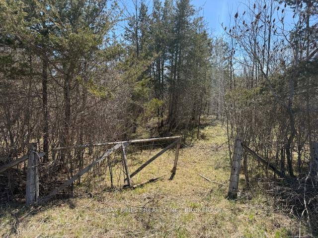 TEN ACRE TREED LOT. Conveniently located just 5 minutes minutes north of the 401 at Odessa, and only twenty minutes to Kingston.
