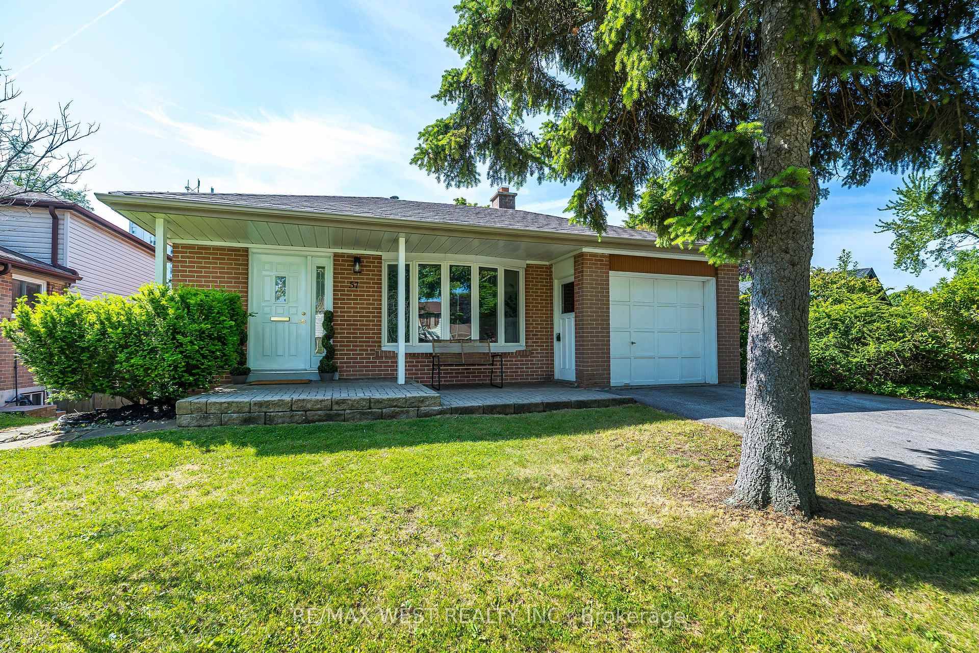Gorgeous Guildwood ! This One Has It All !