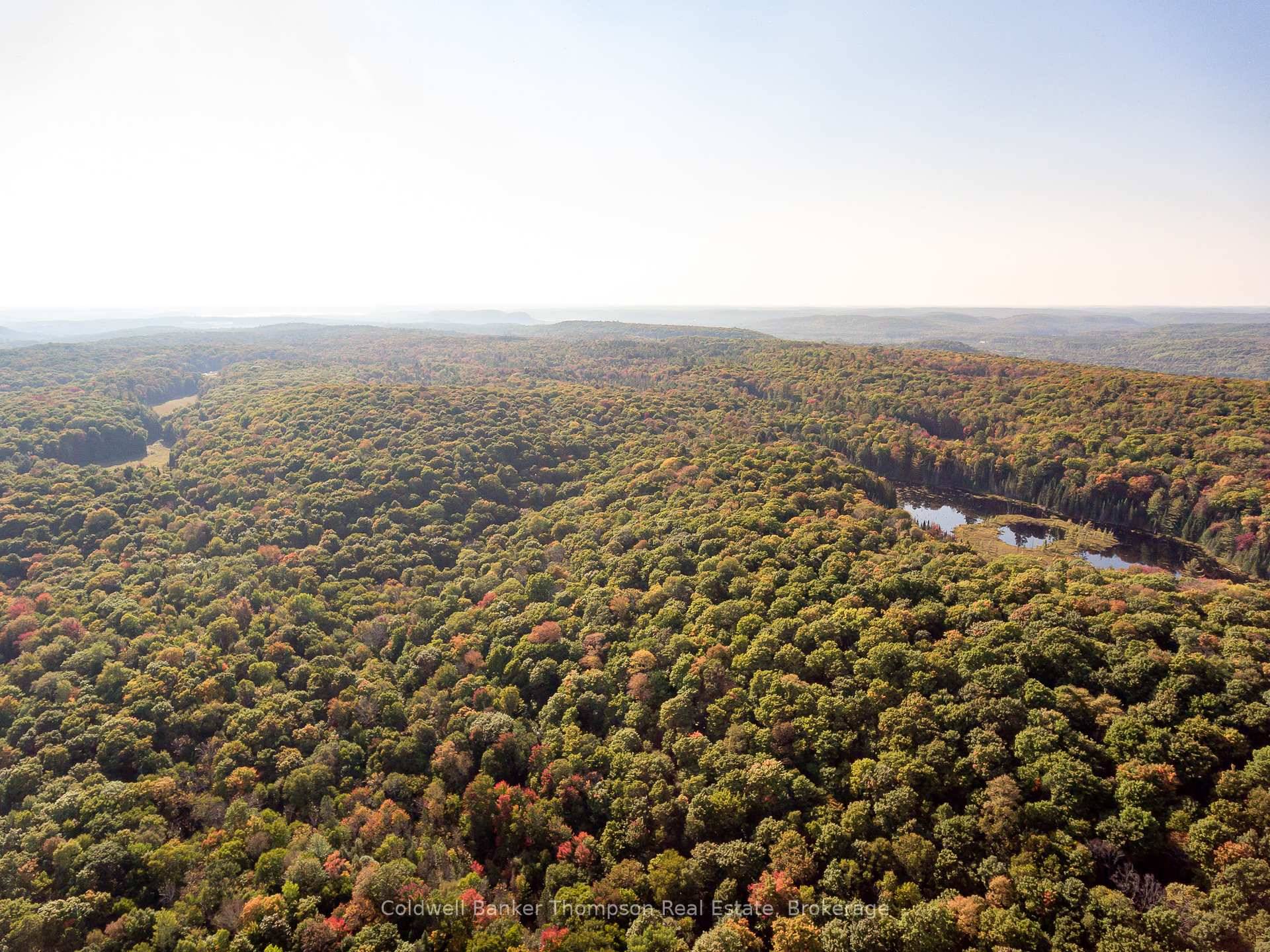 This property boasts 100 acres of pristine, untouched nature.
