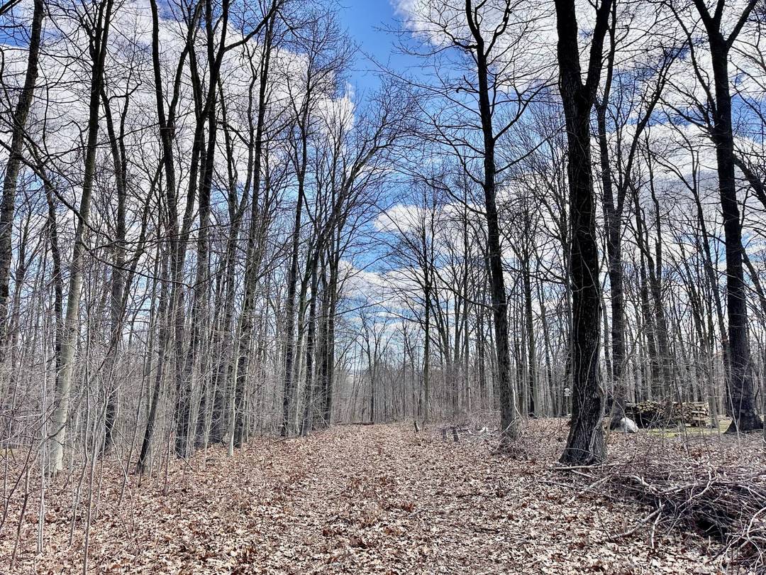 Welcome to Paradise ! Let us Build your Dream Home on 3.