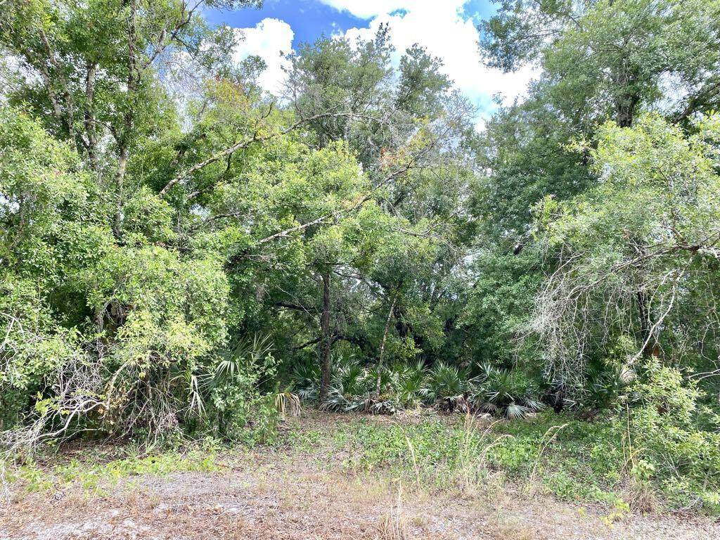 This spacious, serene 2. 5 acre lot is perfect for the homeowner who's looking for a little privacy.
