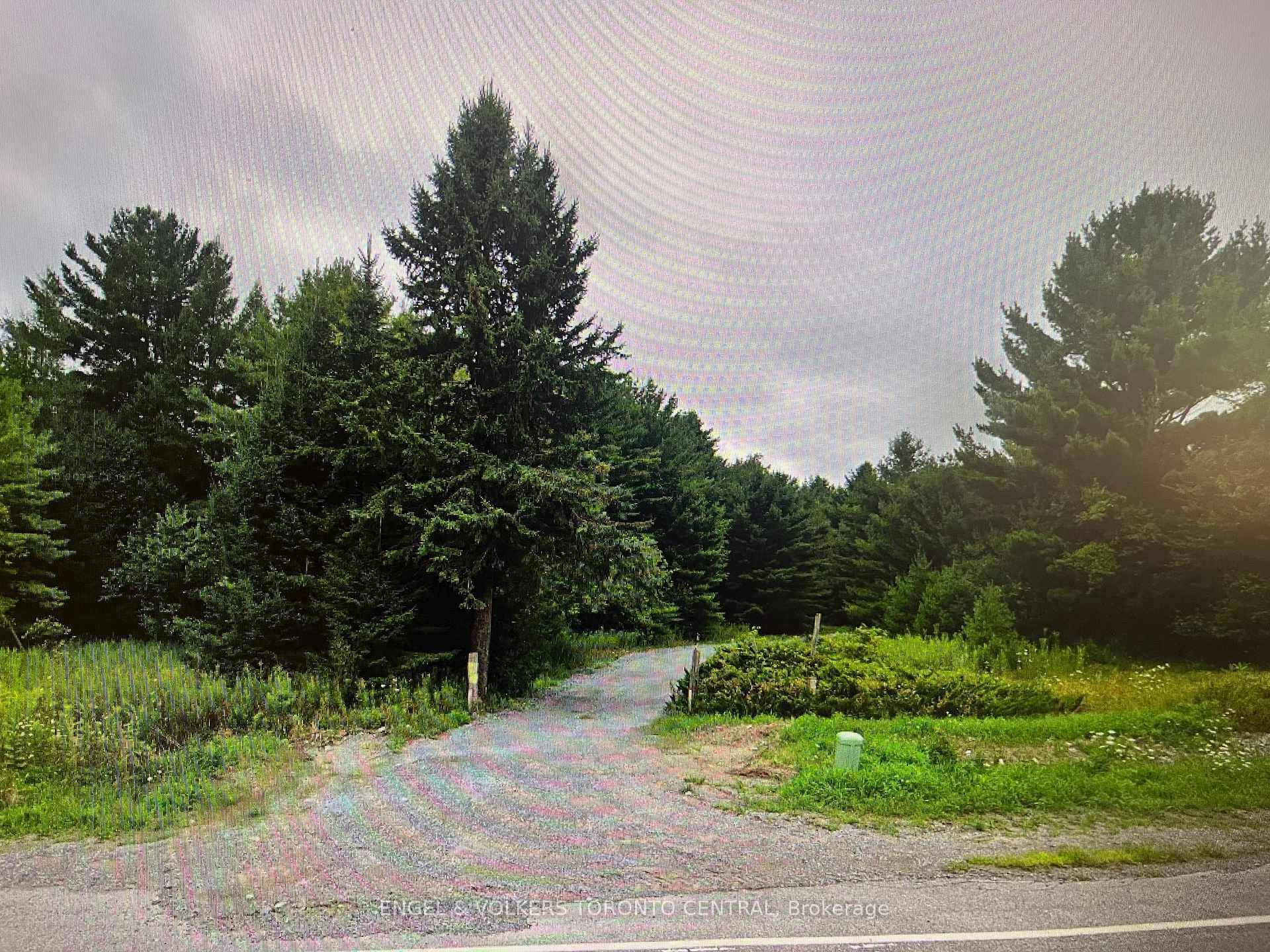 Welcome to this stunning 77 acre property nestled in a natural wooded setting, offering unparalleled privacy and tranquility.