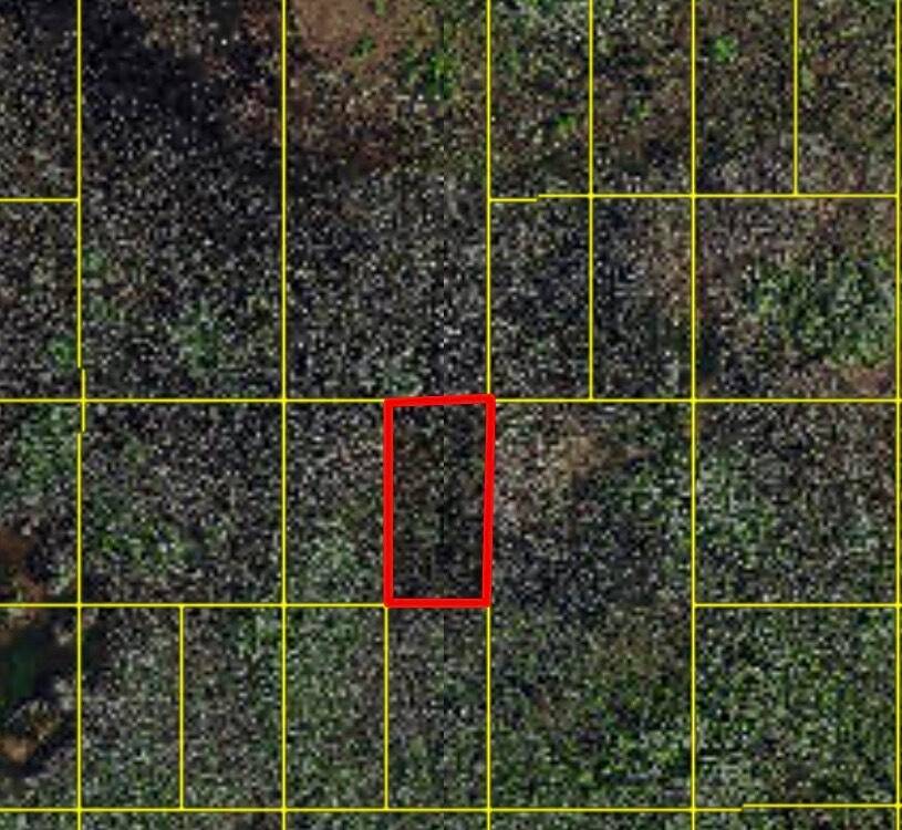 1. 25 Acre rural property.