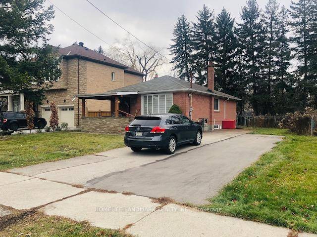 New Renovated Bsmt Apt With Separated Entrance And Separated Laundry Set, Steps To Yrt, Eatery, Schools And Park.