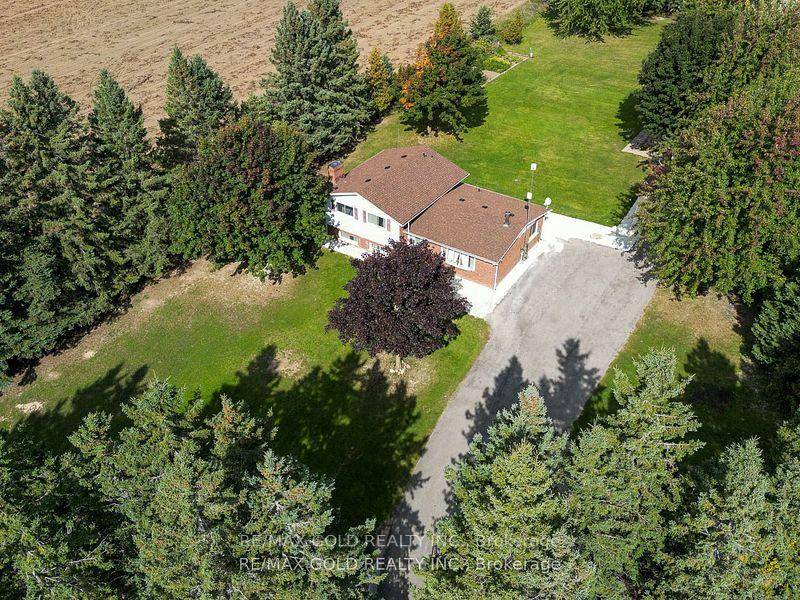Fully Renovated 3 2 bedroom and 3 Bathroom Bungalow On Over An Acre Lot !