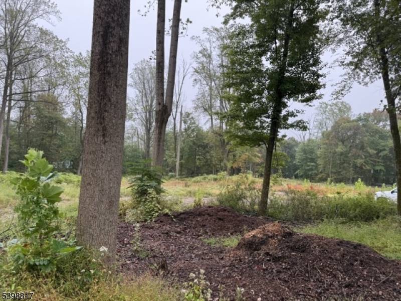 136 Fisher Lane, Watchung, NJ ?