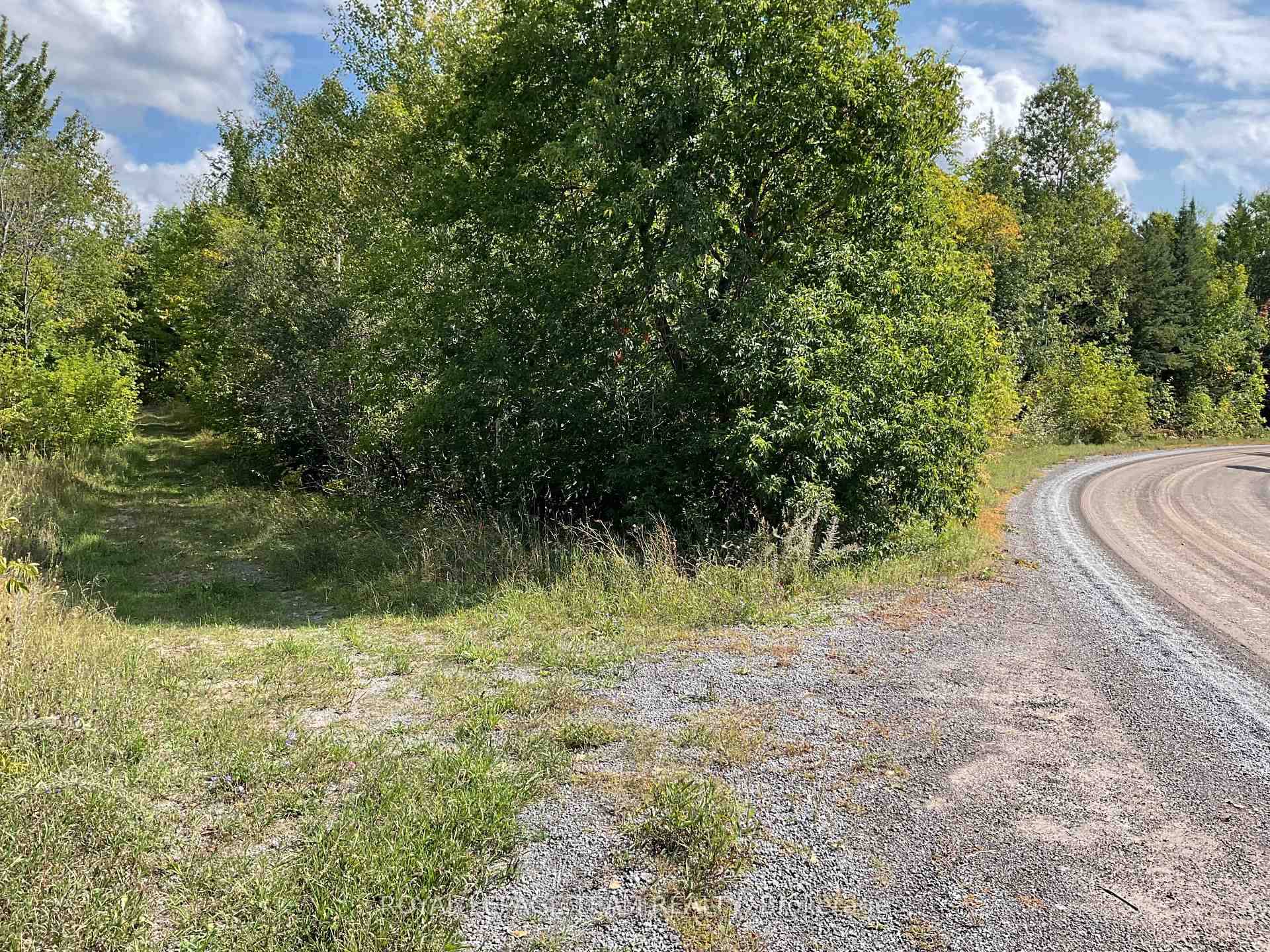 It is your choice ! There are 2 beautifully treed 5 acre lots to choose from.