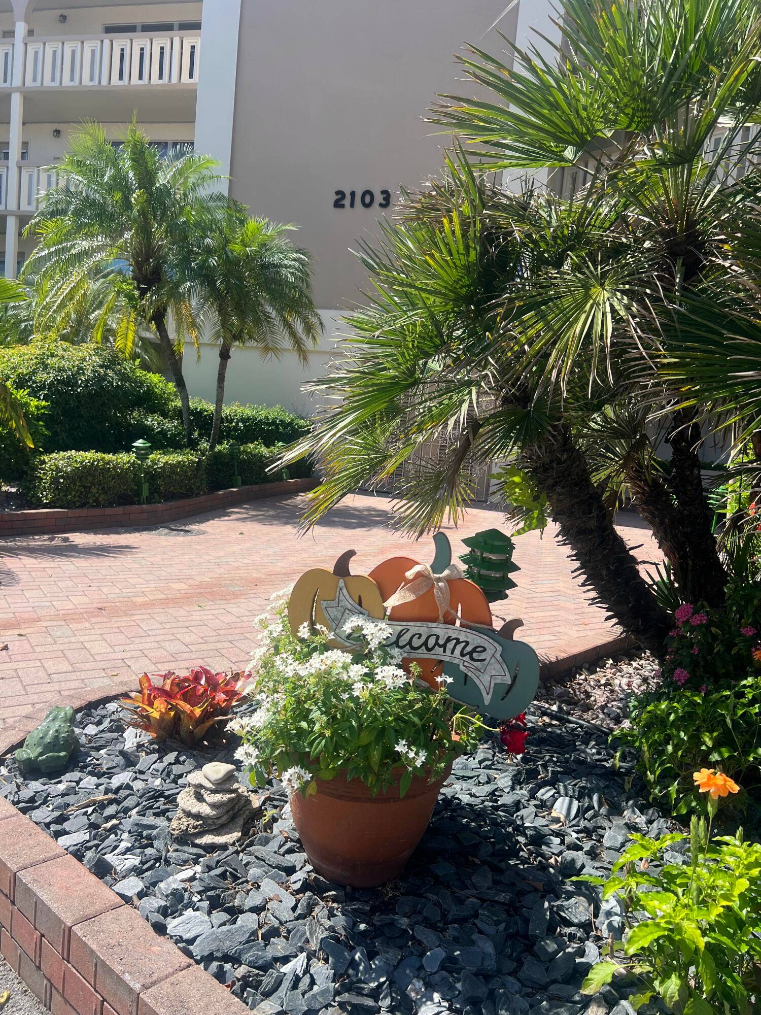 Beautifully remodeled 1 bedroom 1.