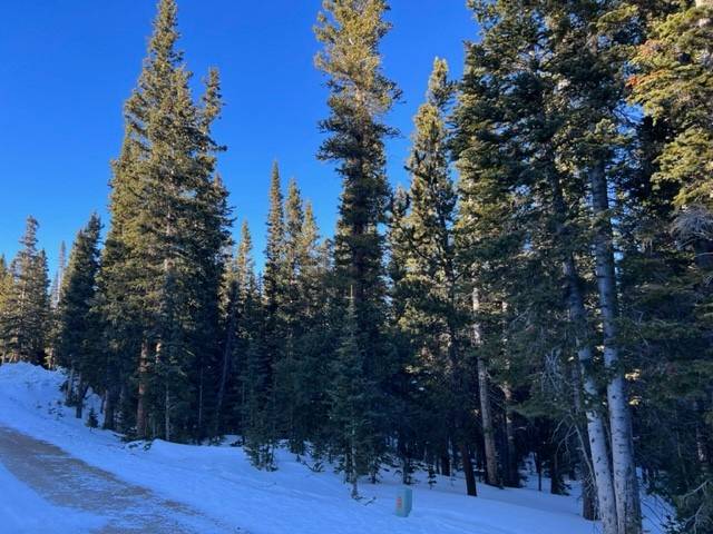 Price reduction on this great piece of land !