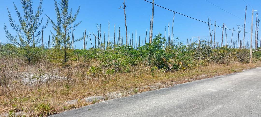 DEVONSHIRE SUB Land Grand-Bahama-Freeport