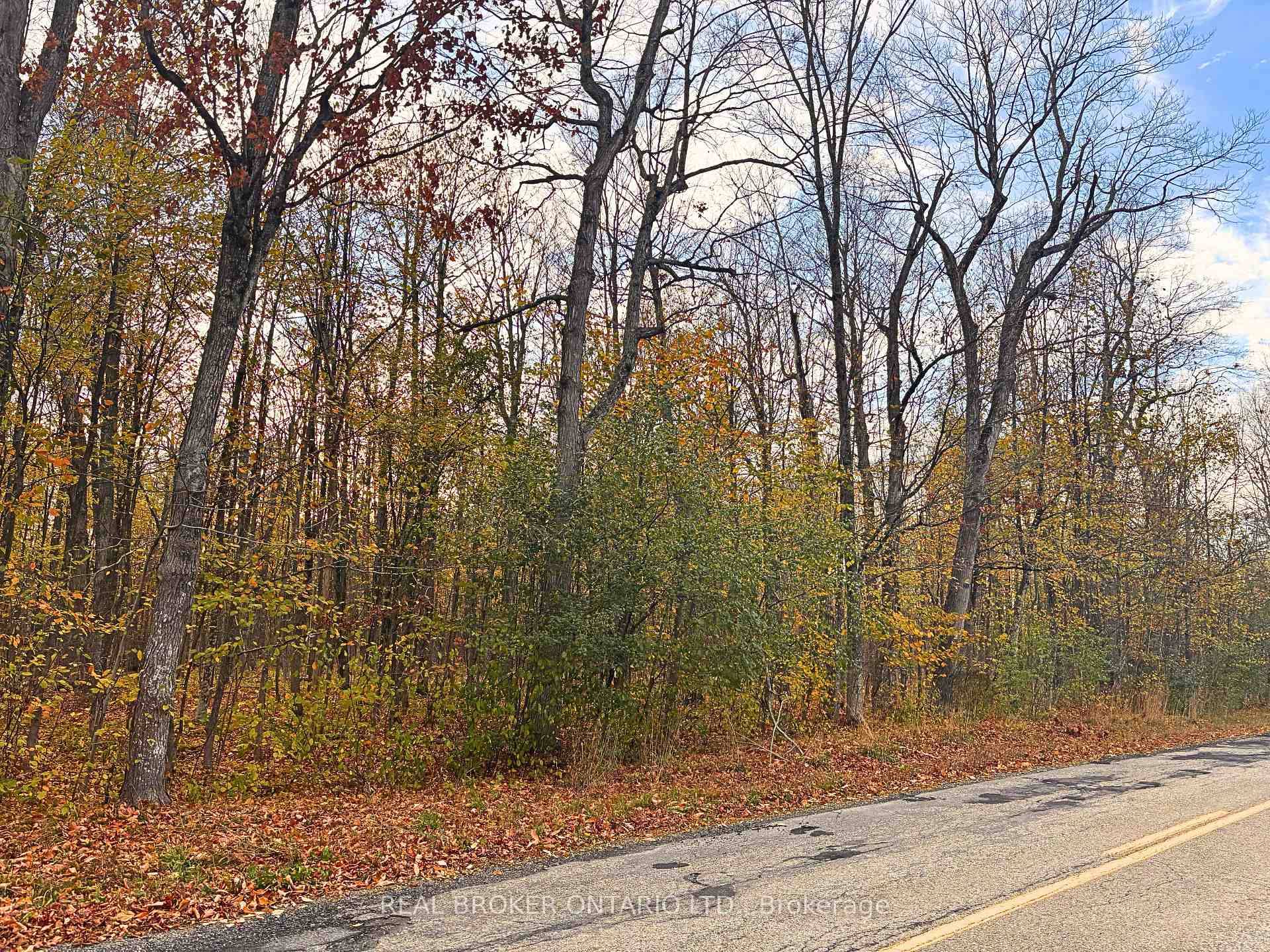 Located on the southwest side of County Road 7, just south of Kitley Line 8 between Rock Springs and Jasper, this exceptional 34 acre parcel in Elizabethtown Kitley Township offers ...