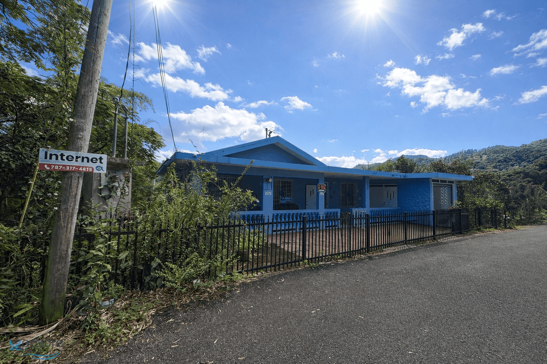 BO. BARTOLO CARR.135 KM 1.0, LARES PR House Lares