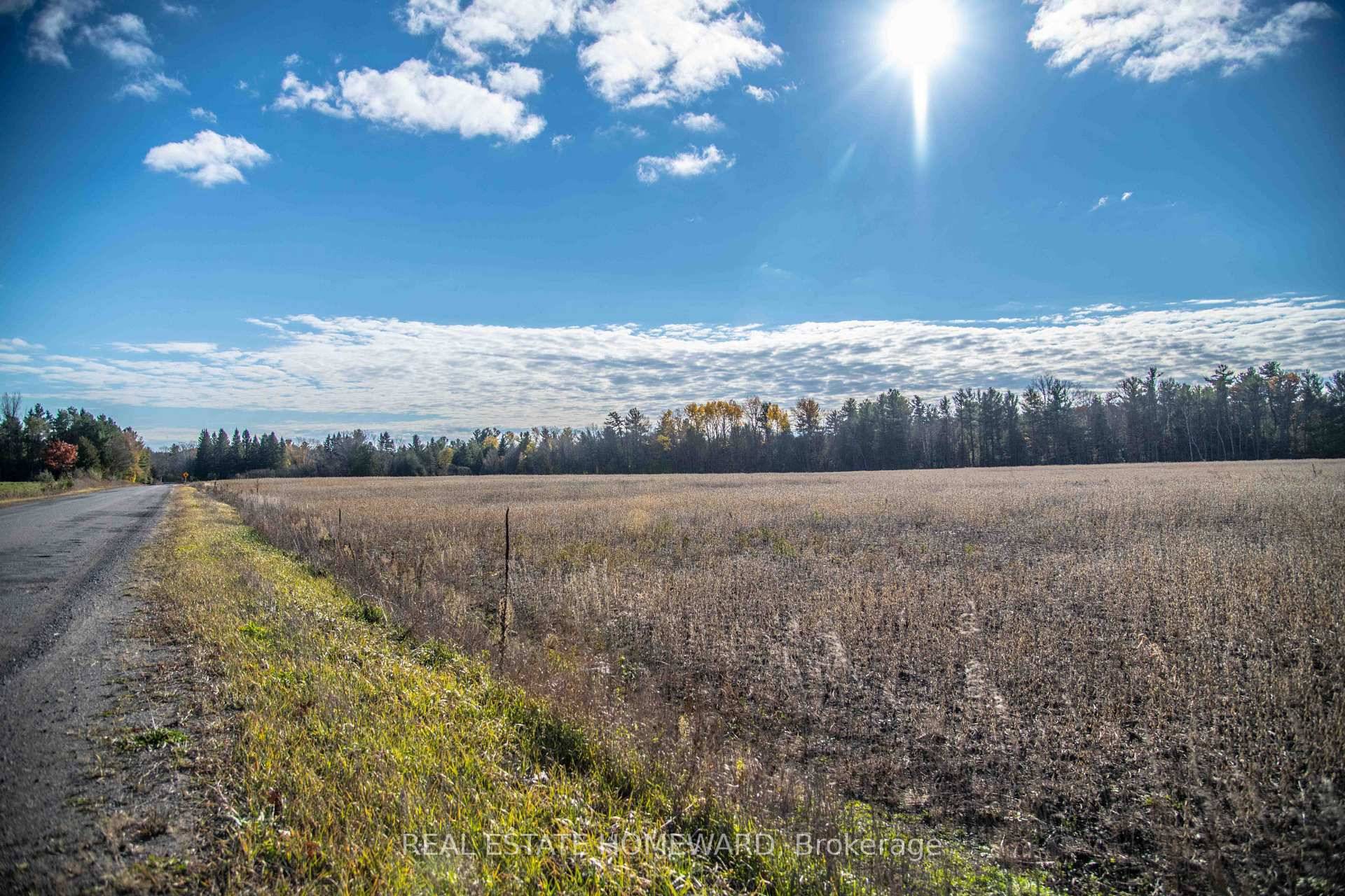 Fantastic location ! ! Minutes from the 11, 000 acre Ganaraska Forest with it's trails for riding, biking, hiking, cross country skiing etc !