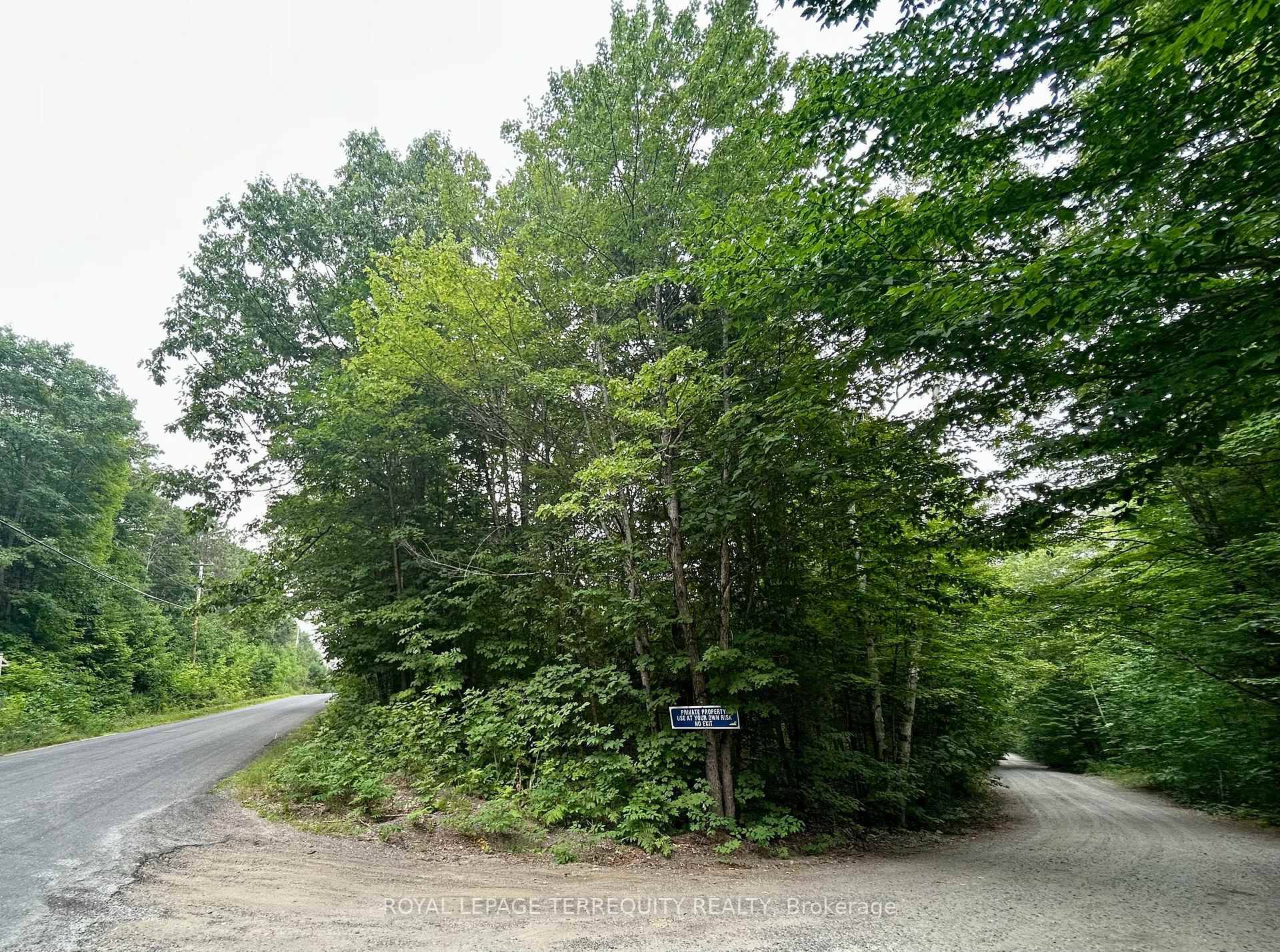 Imagine owning a slice of Algonquin Highlands.
