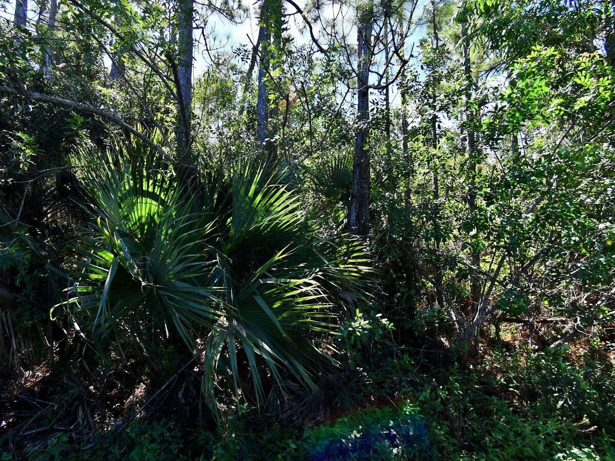 5 acres of land in Port Saint Lucie.