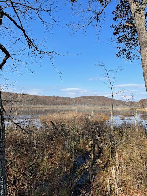 A rare opportunity to own a breathtaking 97 acre property featuring the very lake that gives Lily Lake Road its name.