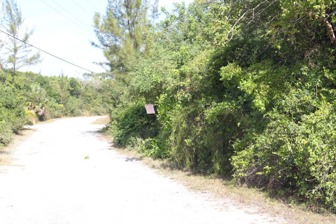 CASUARINA DRIVE Land Abaco