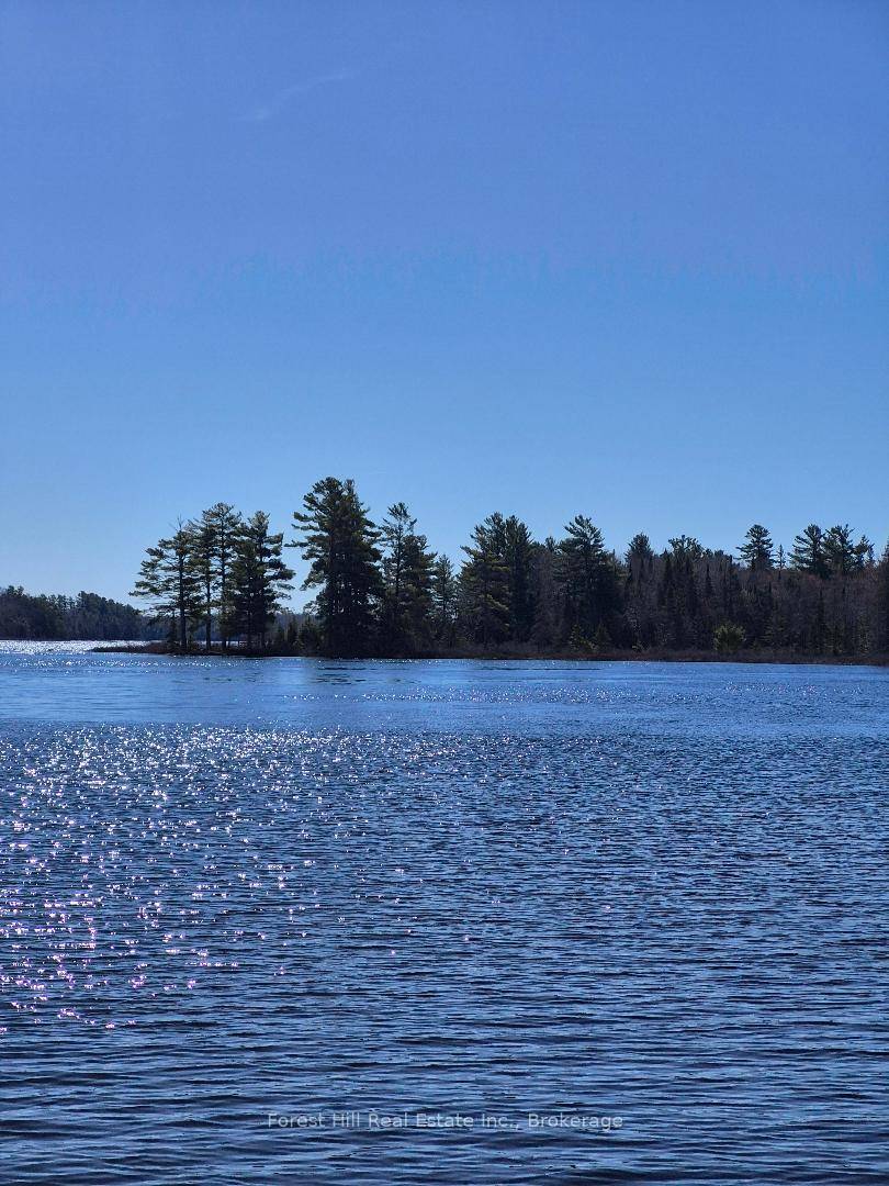 Gorgeous private Five acre waterfront property within the Axe Lake Gated Community.