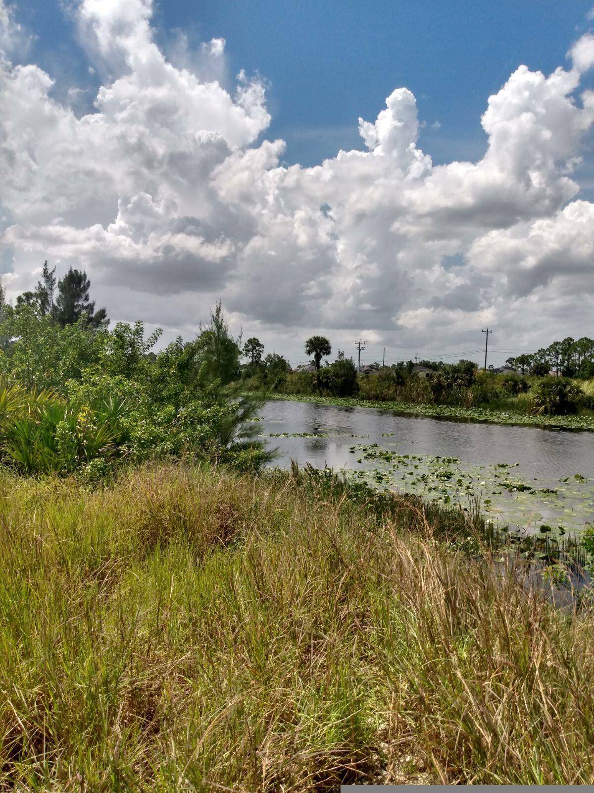 Don't miss this opportunity to watch nature go by on the beautiful Gator Slouth Canal.