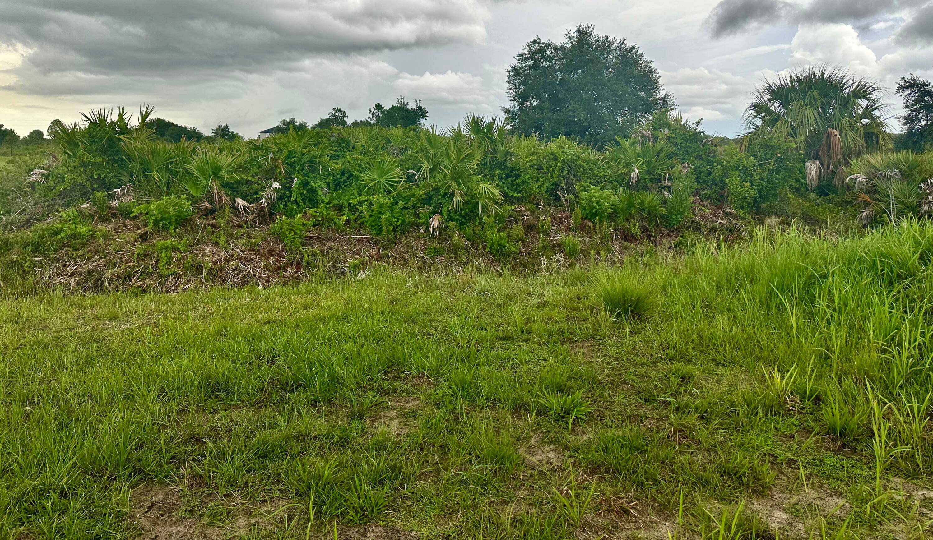 VICKING LOT 1. 25 ACREFast growing area to put a home or camp, peaceful area with trees.