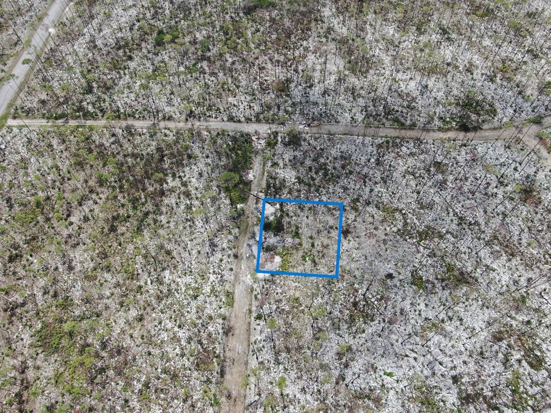 LISSINGTON ROAD Land Grand-Bahama-Freeport