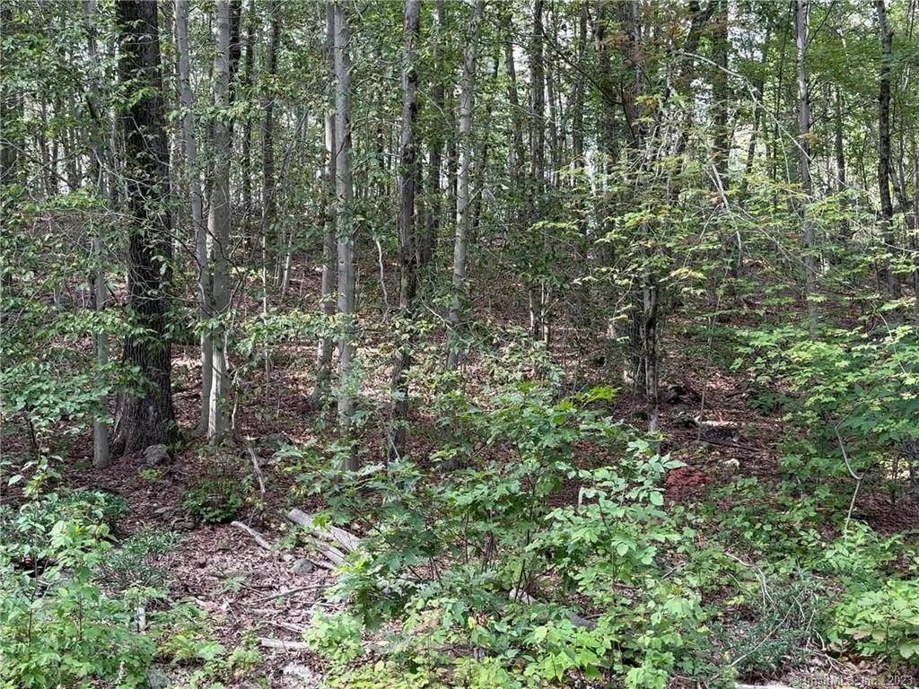Approximately 29. 20 acres of Raw land located in Warren CT.