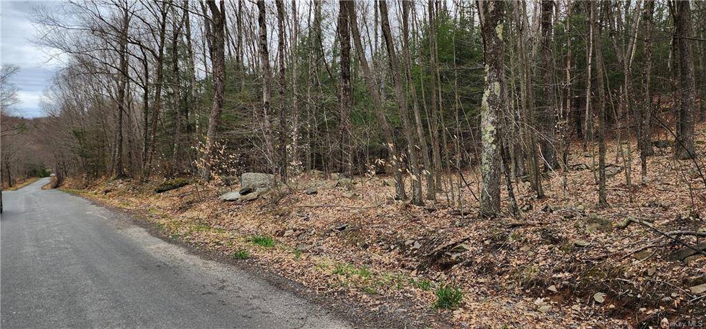 On the country road in Town of Fallsburg near by a hamlet of Woodbourne this nice piece of property offer beautiful mature trees, rolling property, upland for your dream home ...