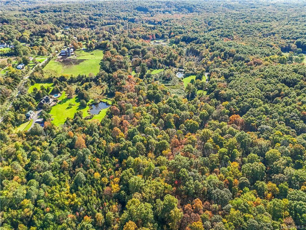 Discover the perfect canvas for your dream home in this picturesque 19 acre lot nestled in the heart of Blooming Grove, New York.